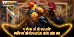 Đá gà cựa sắt